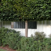 Container tuinhuis (4)