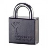 MUL-T-LOCK VORHÄNGSCHLOSS C8 (2)