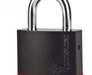 MUL-T-LOCK VORHANGSCHLÖSS E CAD. NE08G (2)