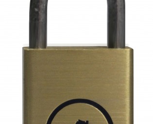 lion ln2