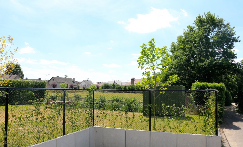 Conteneur maison de jardin (8)