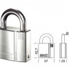 Cadenas Abloy Protec PL340/25 (1)