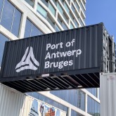 Arrivée de l'Antwerp Marathon